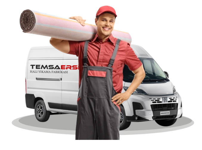 TEMSAERSİN HALI YIKAMA